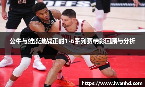 公牛与雄鹿激战正酣1-6系列赛精彩回顾与分析